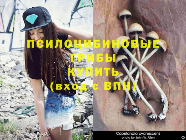 гашик Алзамай